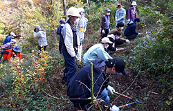 Examples of tokyo greenship action activities